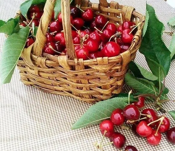 Vakantiehuis King's House Douro Valley